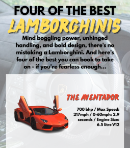 Four of the Best Lamborghinis