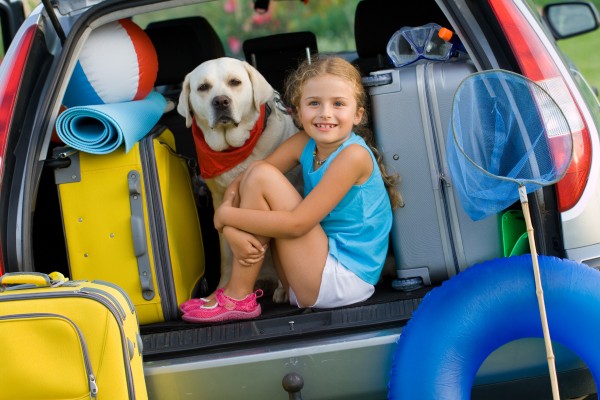 Stuffed Boots Could Cost Easter Drivers £2.5k in Fines