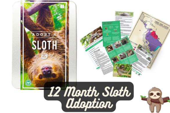 12 Month Sloth Adoption Driving Experience 1