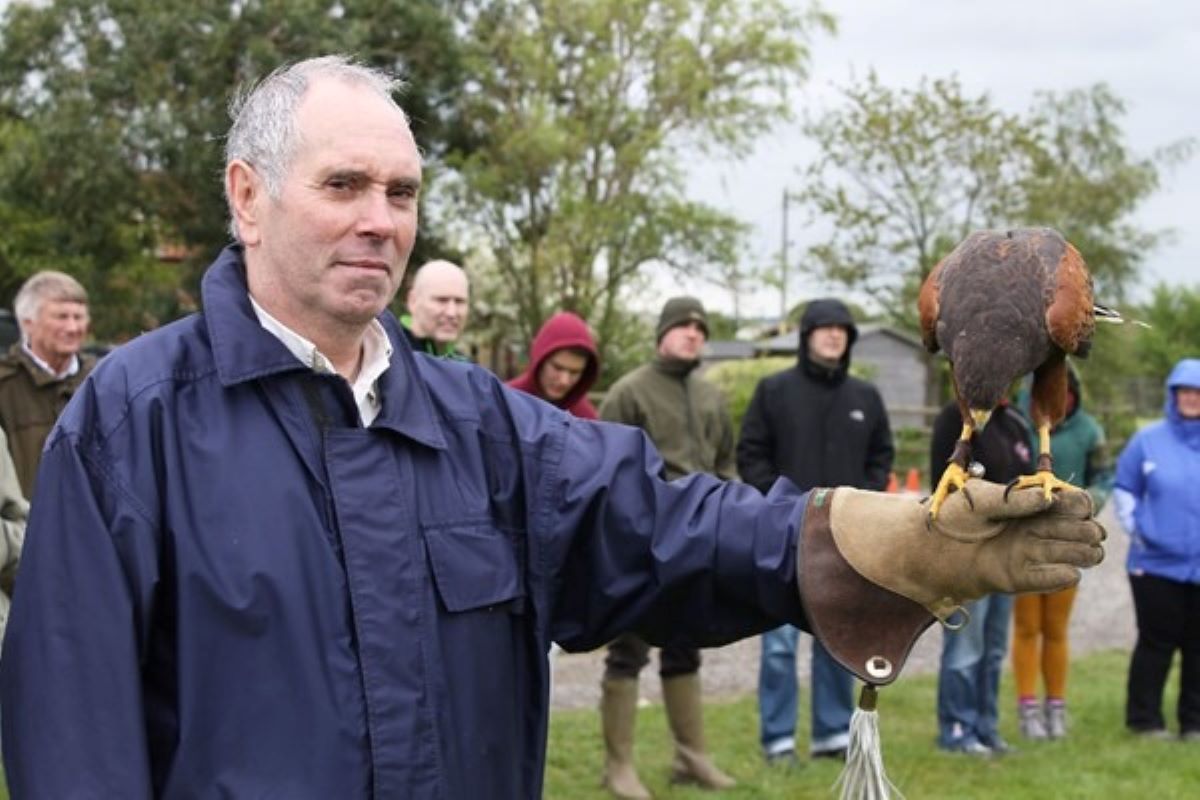 Falconry Experience - Adult Experience from Trackdays.co.uk