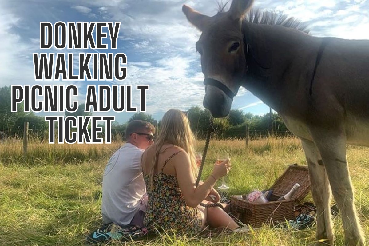 Donkey Walking Picnic Adult Ticket Driving Experience 1