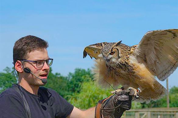 One Hour Falconry Experience - Essex Driving Experience 1
