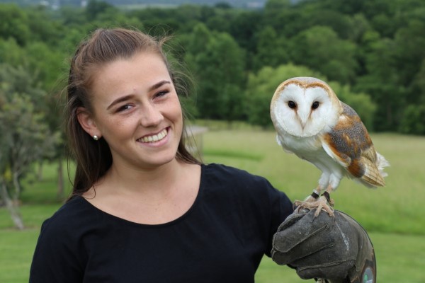 Half Day Falconry Experience  Driving Experience 1