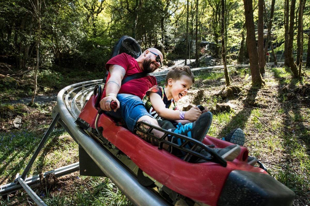 Zip World FForest Coaster Experience from Trackdays.co.uk