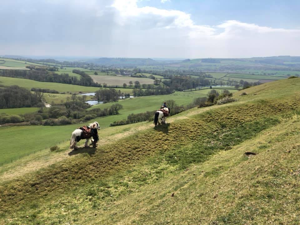 Full Day Pony Walking Experience Experience from Trackdays.co.uk