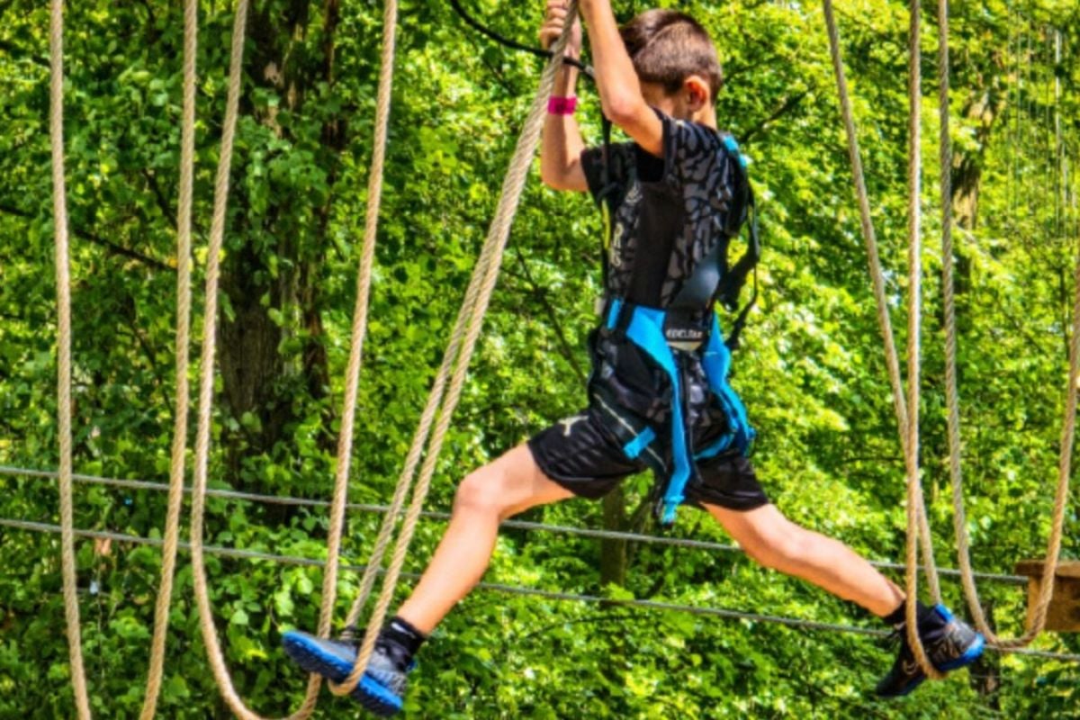 Go Ape Treetop Challenge for Four (Ages 10+) Experience from Trackdays.co.uk