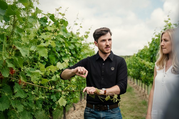 Gusbourne Estate Tour and Wine Tasting with Lunch for Two Experience from Trackdays.co.uk