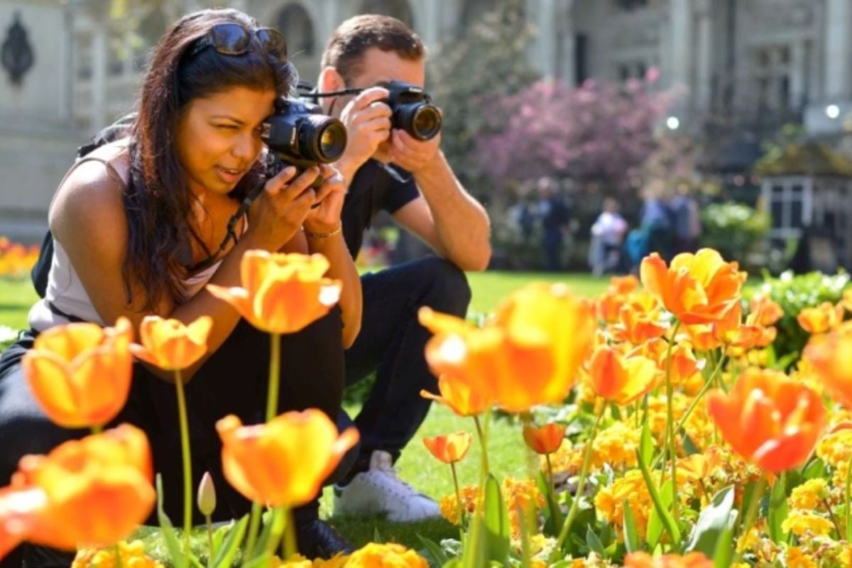 Half Day Central London Photography Tour Driving Experience 1