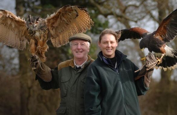 Half Day Falconry at Hatton Country World Warwickshire Experience from Trackdays.co.uk
