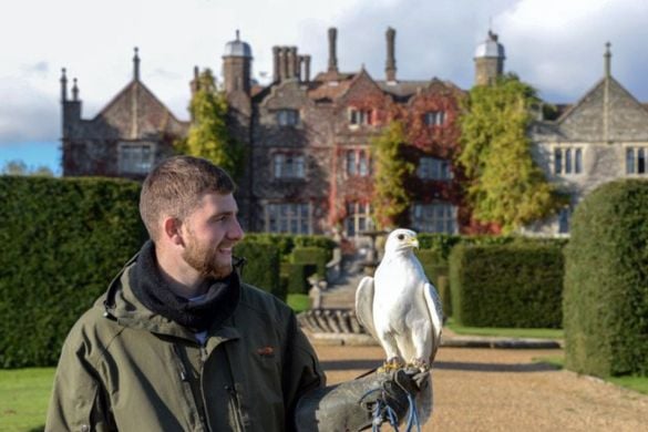 Half Day Falconry Experience - Kent Driving Experience 1