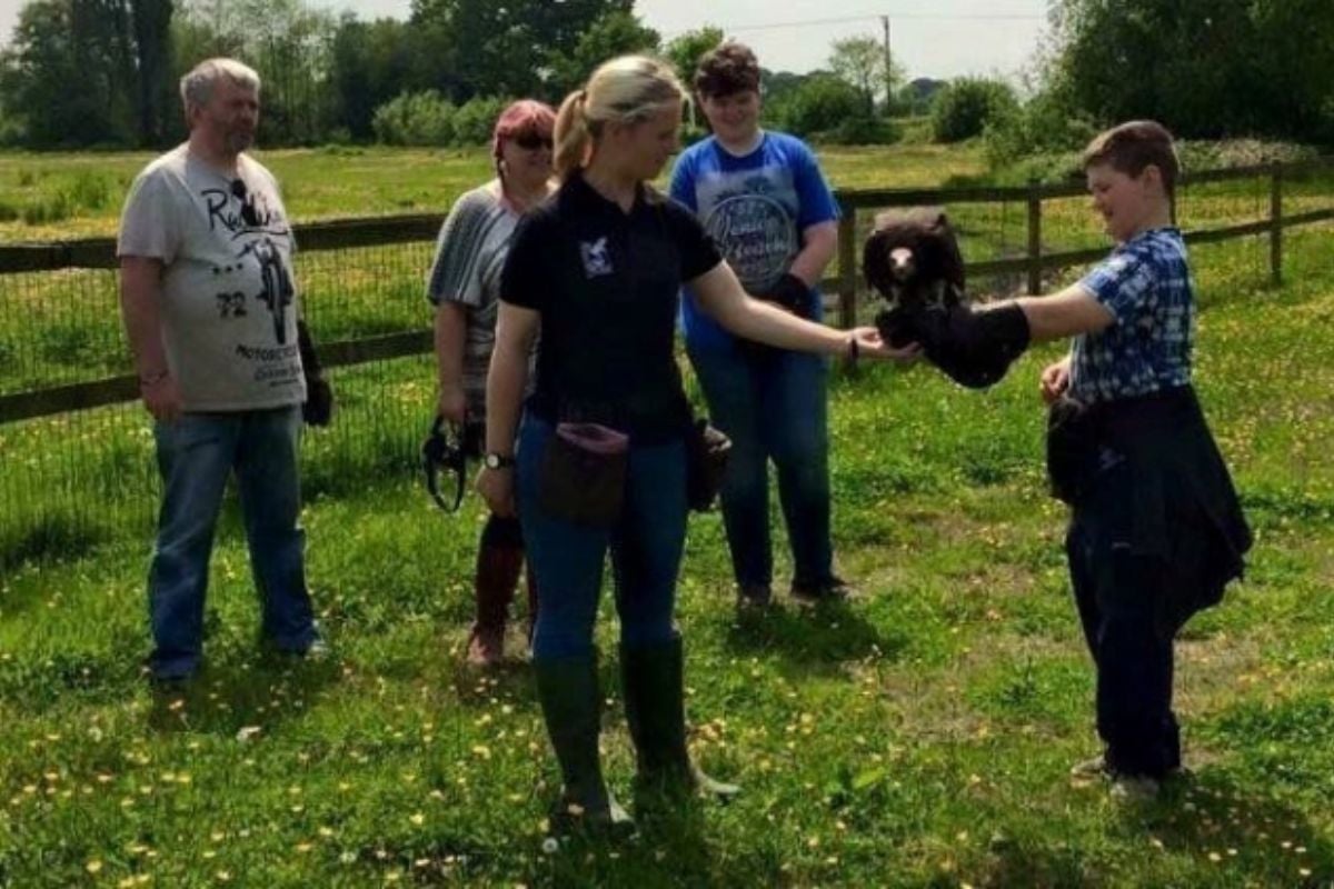 Half Day Falconry Experience Cheshire Experience from Trackdays.co.uk