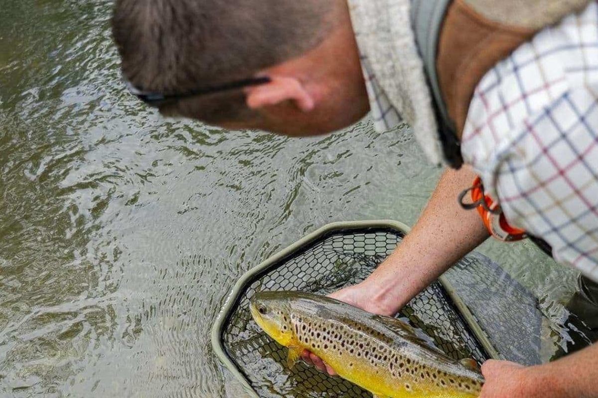 Half Day Exclusive Fly Fishing for One in Hampshire Experience from Trackdays.co.uk