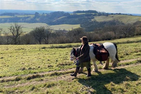 Half Day Pony Walking Experience Driving Experience 1