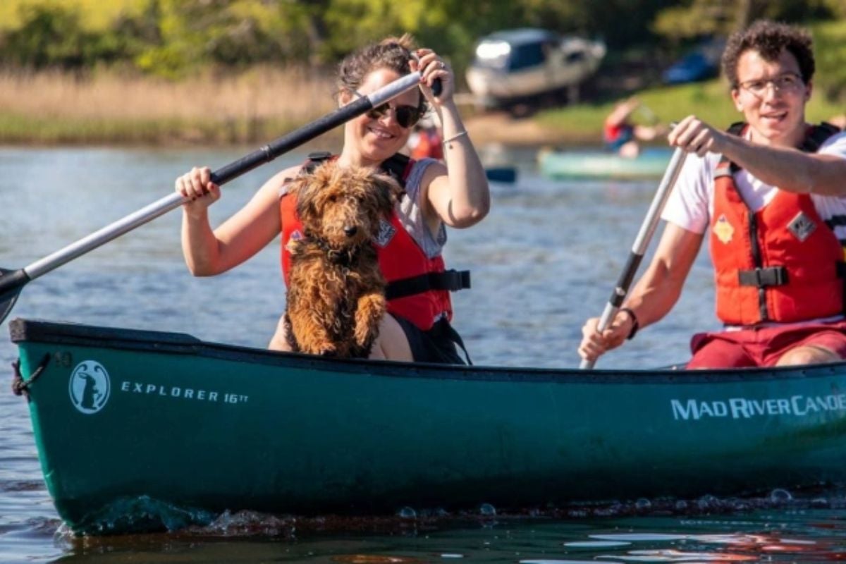 New Forest Canoeing Experience for Two in Hampshire Experience from Trackdays.co.uk