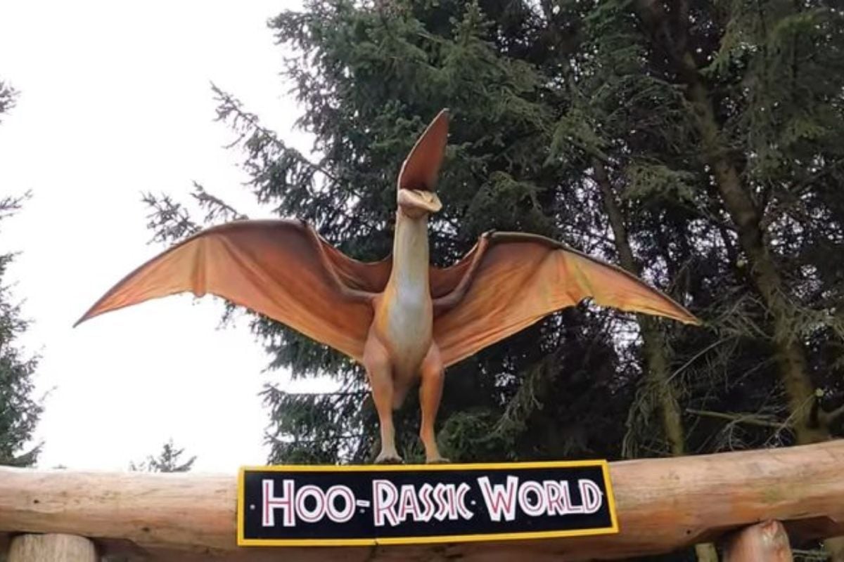 Entry Tickets to Hoo Zoo & Dinosaur World (Adult Entry Ages 16+) Experience from Trackdays.co.uk