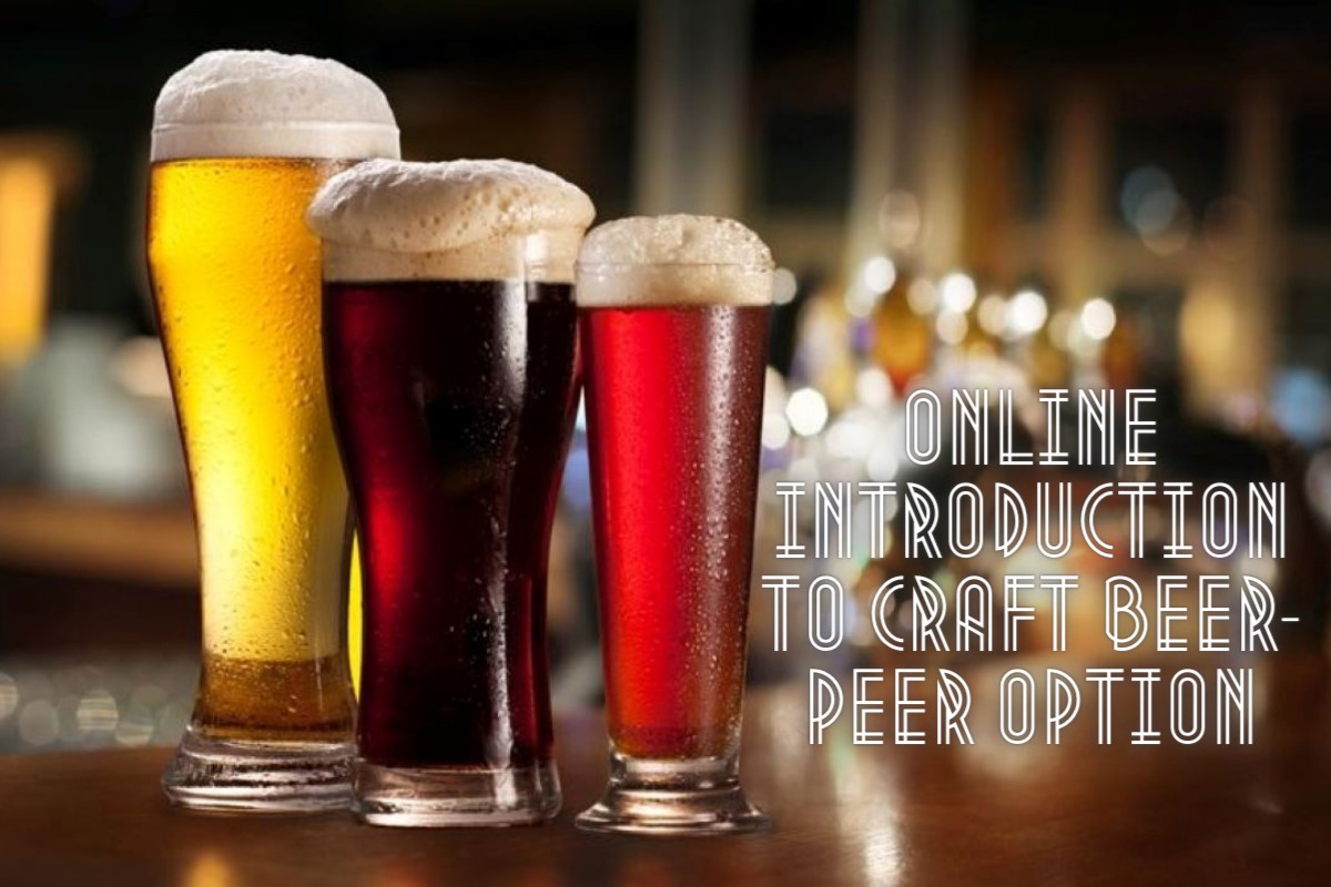 Online Introduction to Craft Beer - Peer Option Driving Experience 1