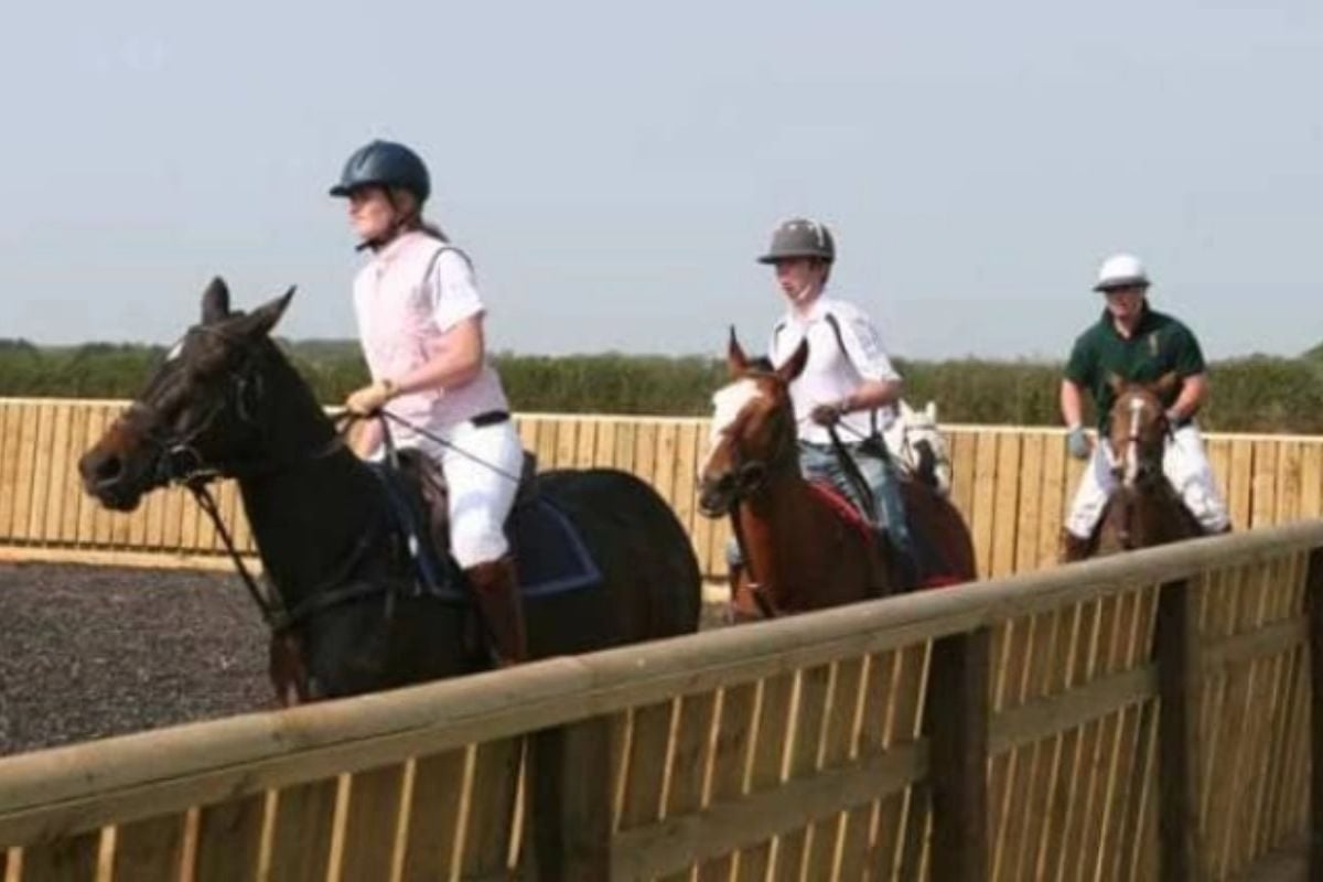 White Rose Polo Club Intro To Polo Experience in York Experience from Trackdays.co.uk