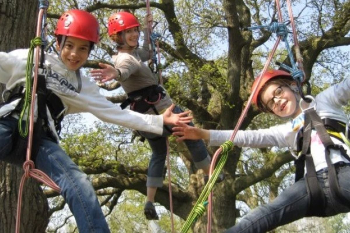 Isle of Wight Tree Climbing Experience Experience from Trackdays.co.uk