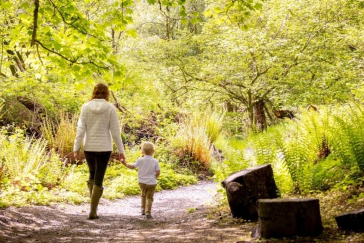 Loch Lomond Faerie Trail for Kids Experience from Trackdays.co.uk