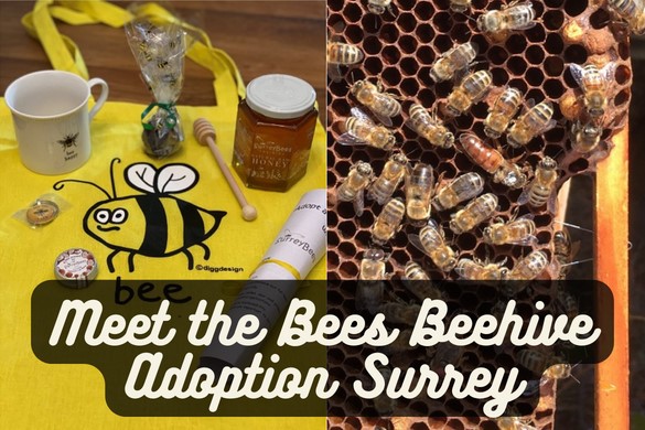 Meet the Bees Beehive Adoption Surrey Driving Experience 1