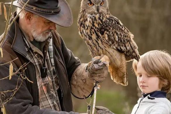 Owl Encounter In Leicestershire Experience from Trackdays.co.uk