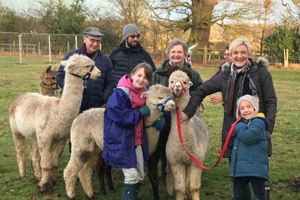 Parent and Child Alpaca Experience for 2 in Warwickshire Experience from Trackdays.co.uk