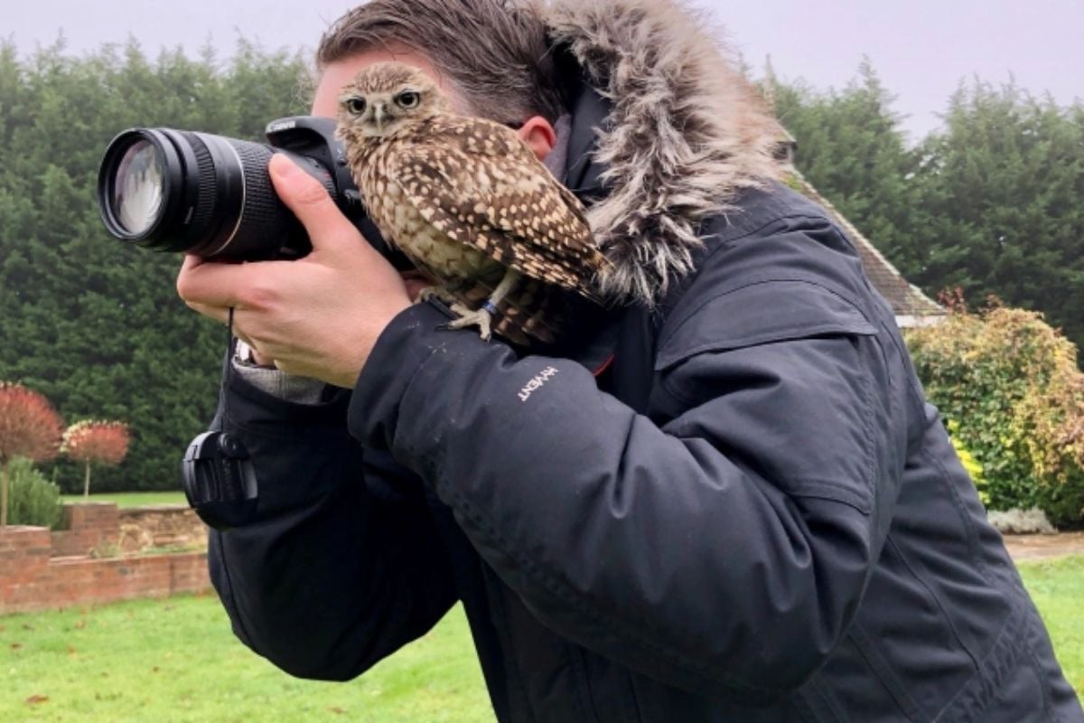 Private Family Owl Experience Experience from Trackdays.co.uk