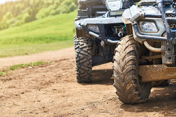 Devon Quad Safari - Standard Driving Experience 1