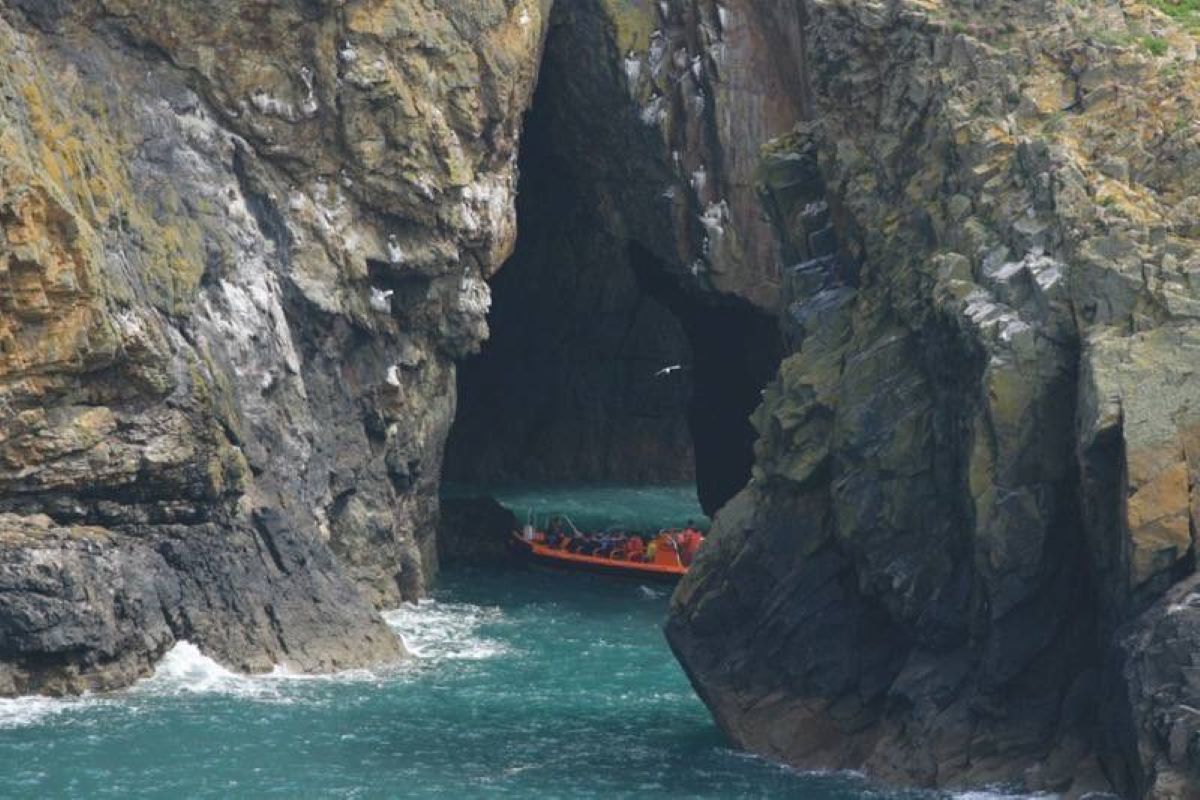 Ramsey Island Voyage - Standard Ticket Experience from Trackdays.co.uk