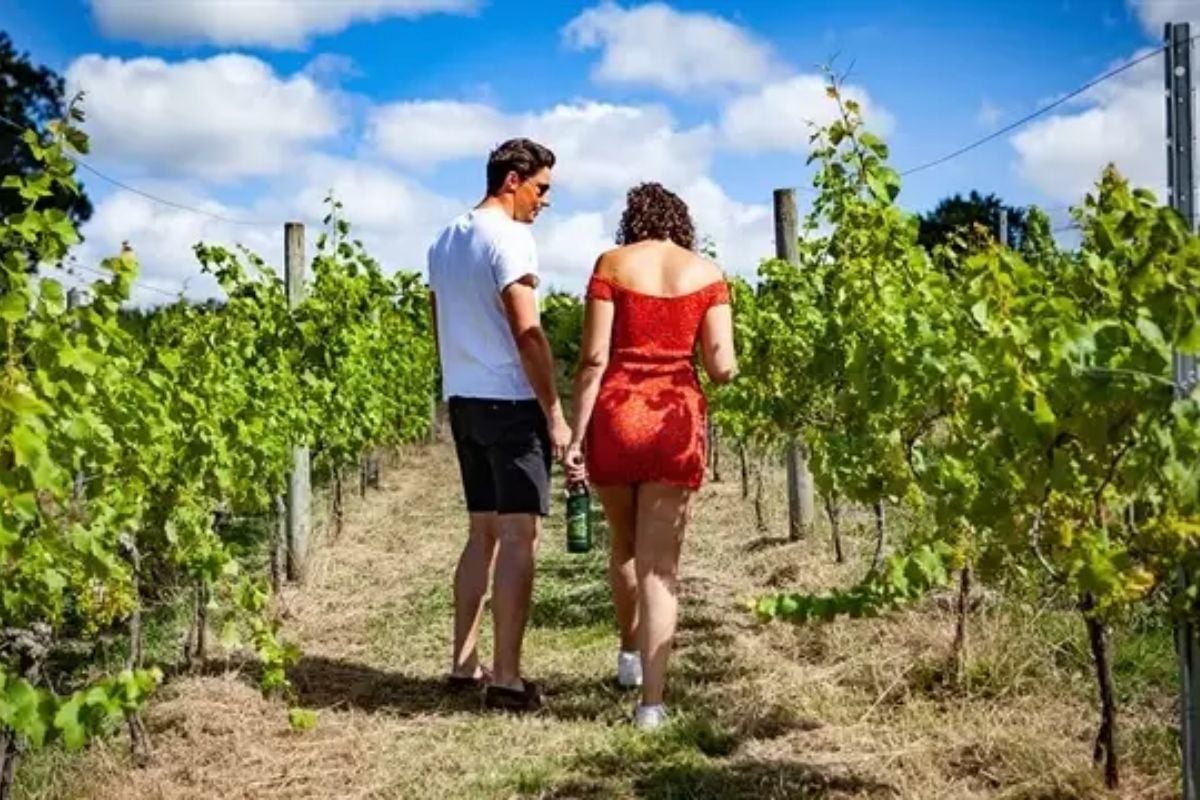 Book this Sedlescombe Organic Vineyard Tour and Tasting, Gift Voucher - Main Image