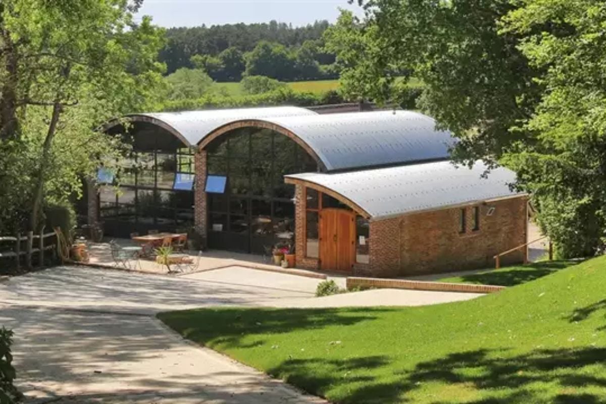 Sedlescombe Organic Vineyard Tour and Tasting with Cream Tea Experience from Trackdays.co.uk