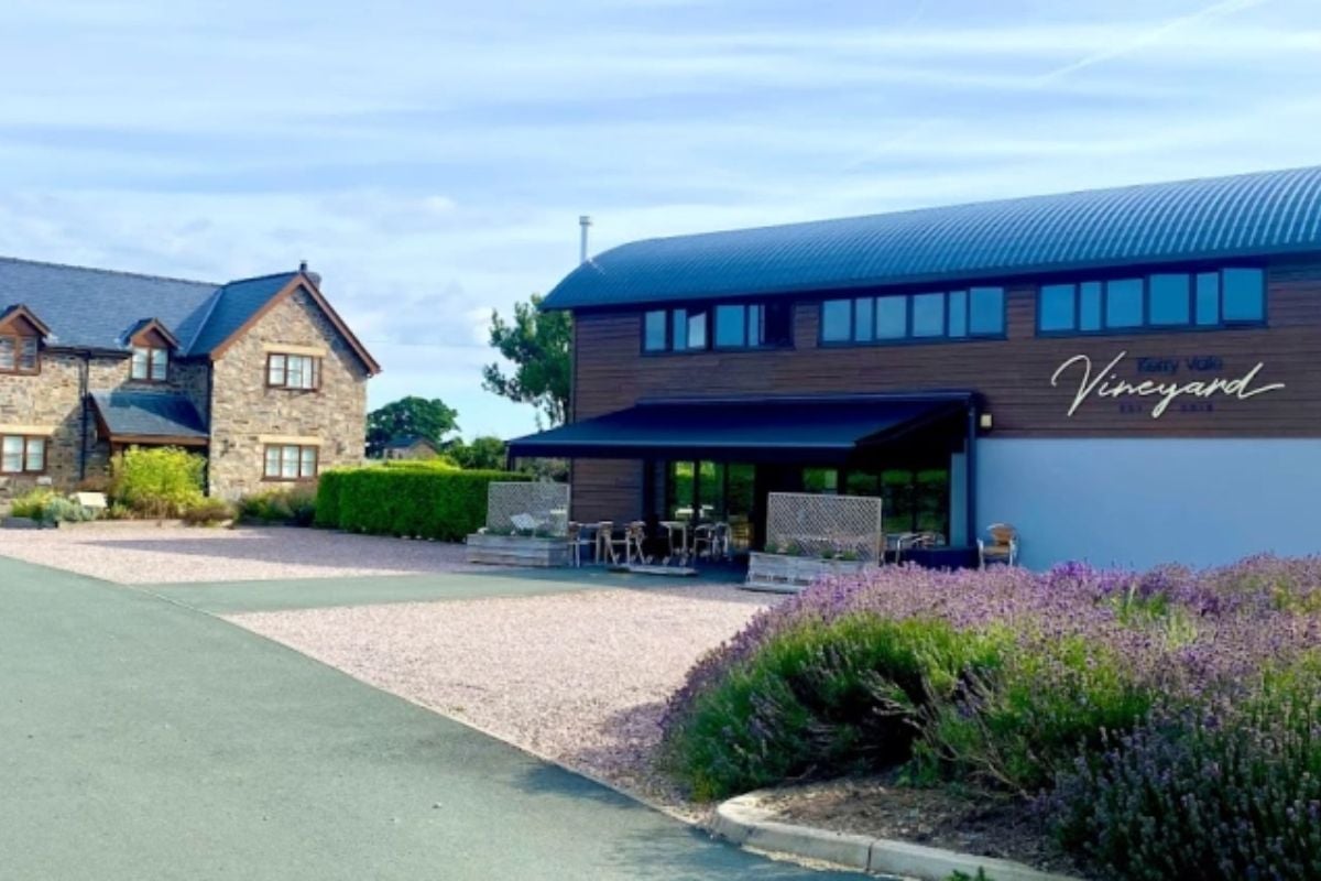 Shropshire Vineyard Tour And Wine Tasting For Two Experience from Trackdays.co.uk