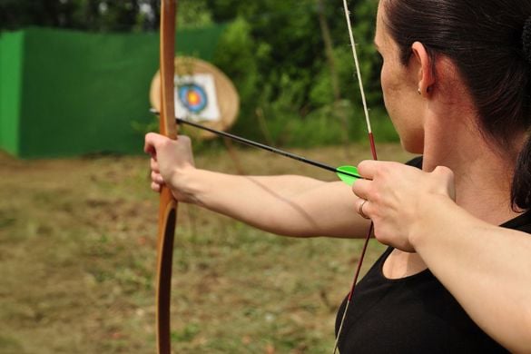 Target Archery for Two Driving Experience 1