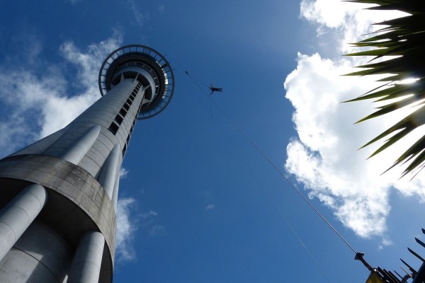 Teen Tandem Bungee Jump for Two Driving Experience 1