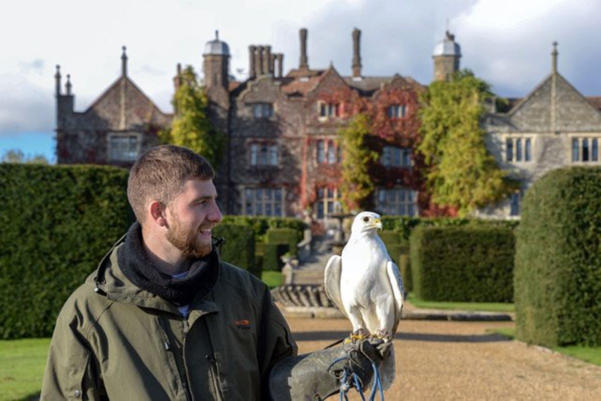 The Big Four Falconry Experience - Kent Driving Experience 1