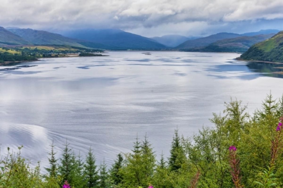 The Wild Highlands Coach Tour Experience from Trackdays.co.uk