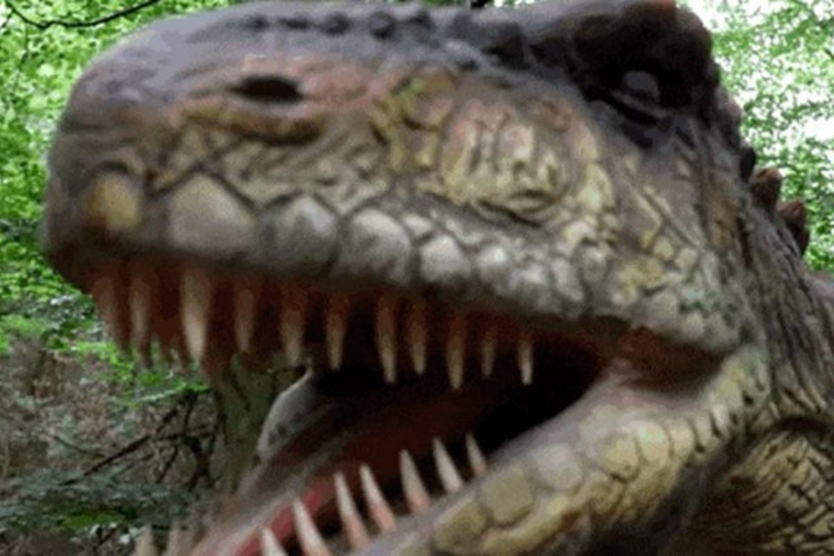 Tickets to Hoo Zoo & Dinosaur World (Family of Four Adults & Children) Experience from Trackdays.co.uk