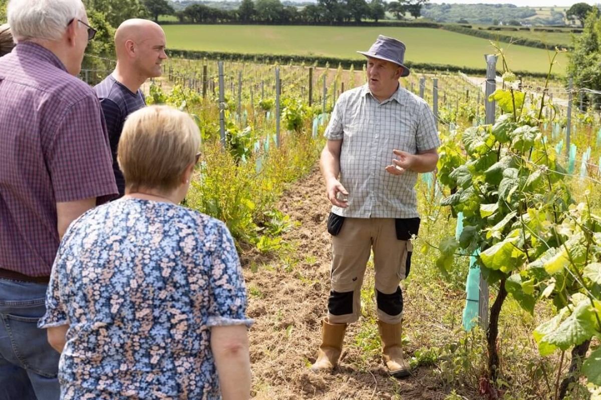 Torview Vineyards Tour and Wine Tasting for Two Experience from Trackdays.co.uk