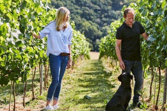 Vineyard Tour, Wine and Cider Tasting and Meal for Two Experience from Trackdays.co.uk