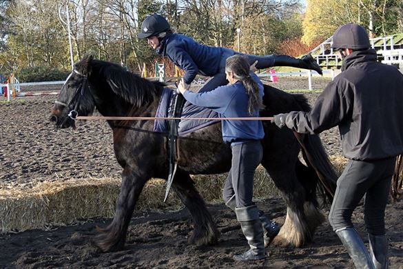 Trick Riding Experience - Warwickshire  Driving Experience 1