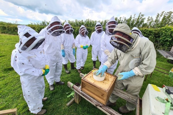 Beekeeping Exclusive Session for 2 - Devon Driving Experience 1