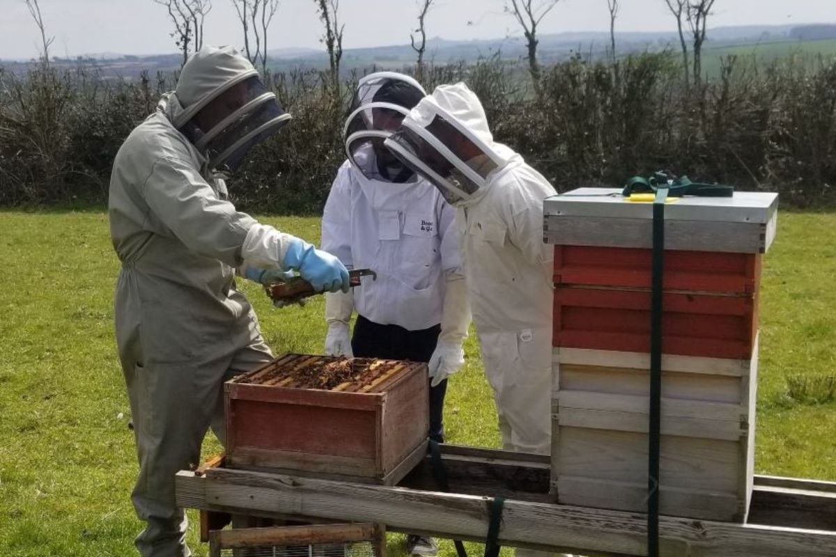 Two Hour Exclusive Beekeeping Session for 4 - Devon Driving Experience 1