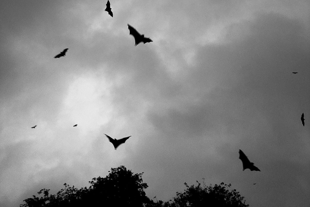 Vampires Lair Escape Room for Two in Manchester Experience from Trackdays.co.uk