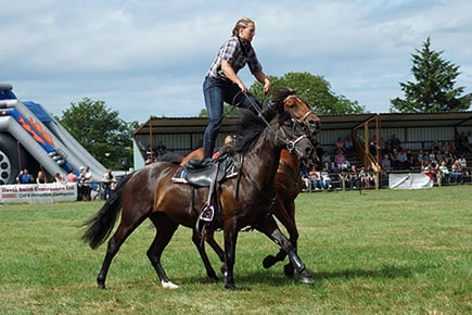 Vaulting or Trick Riding for One Driving Experience 1