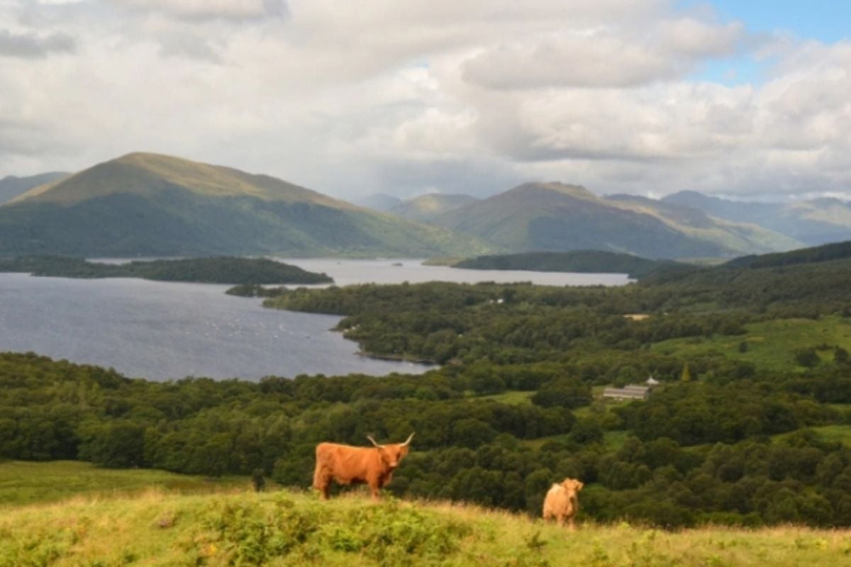 West Highland Lochs Mountains And Castles Tour Experience from Trackdays.co.uk