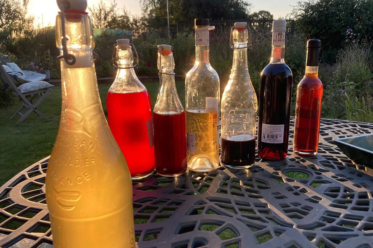 Wild Alcohol and Foraging Workshop Experience from Trackdays.co.uk