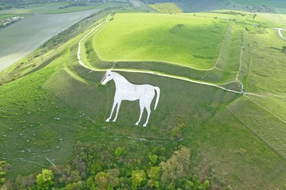 Wiltshire White Horse Sightseeing Helicopter Tour Experience from Trackdays.co.uk