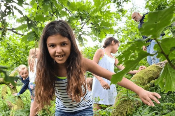 Woodland Activities in the Lake District for 2 Children Experience from Trackdays.co.uk
