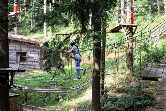 Zip World Safari High Ropes Course Driving Experience 1