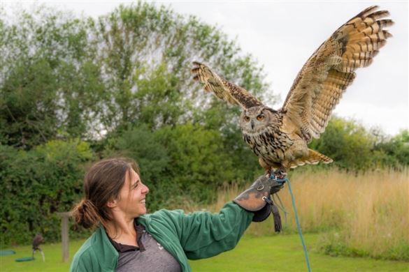 North Somerset Bird of Prey Centre